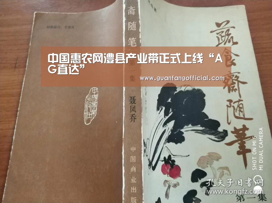 中国惠农网澧县产业带正式上线“AG直达”(图1) AG直达