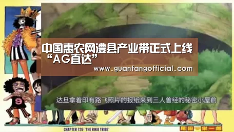 中国惠农网澧县产业带正式上线“AG直达”(图3) AG直达