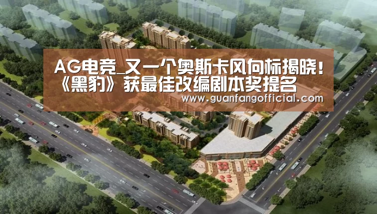 AG电竞_又一个奥斯卡风向标揭晓!《黑豹》获最佳改编剧本奖提名(图1) AG官方