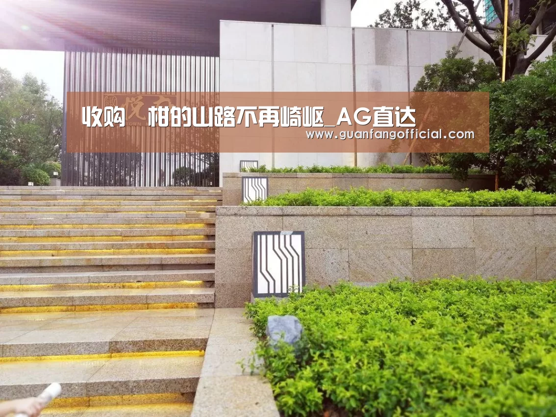 收购椪柑的山路不再崎岖_AG直达(图1) AG电竞