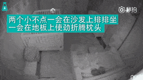 雷佳音《极限挑战》新手上线 “二锅头”反被套路承包笑点-AG电竞(图1) AG真人