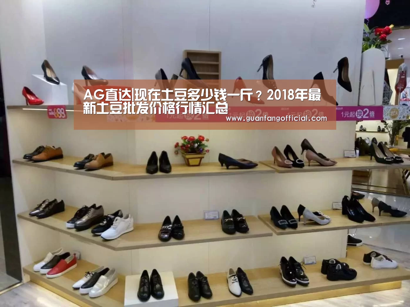 AG直达|现在土豆多少钱一斤?2018年最新土豆批发价格行情汇总(图3) AG直达